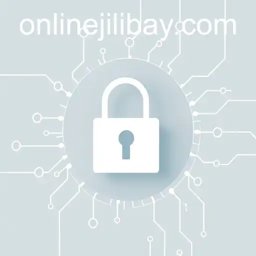 Understanding Privacy Policy: The Case of Jilibay